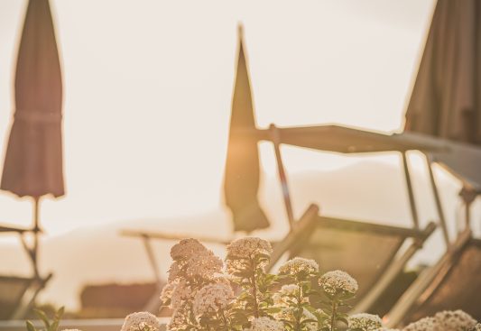 Regenerierendes Angebot