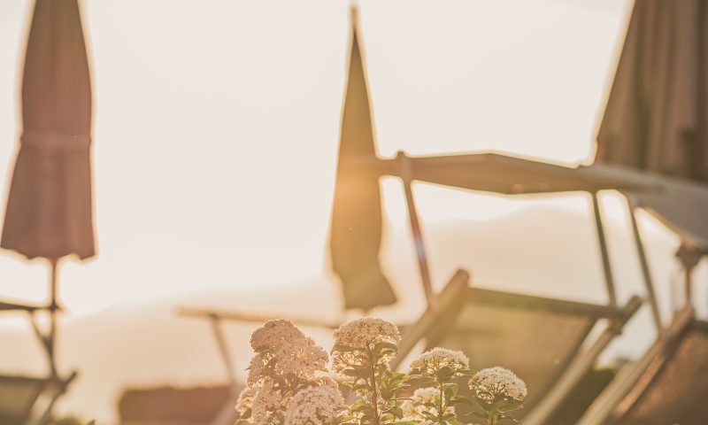 Regenerierendes Angebot